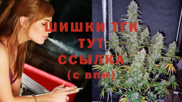 молекула духа Осинники