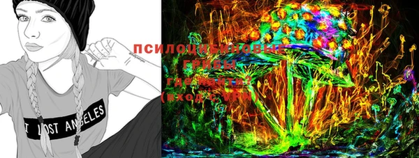 кокс Няндома
