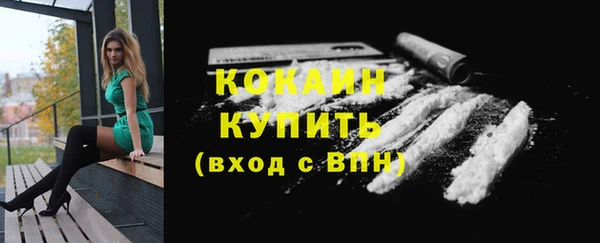 молекула духа Осинники