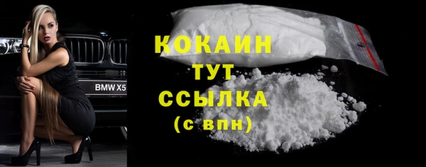 кокс Няндома