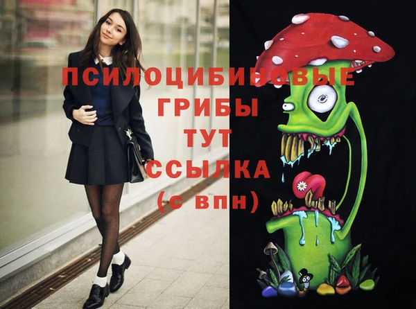 молекула духа Осинники