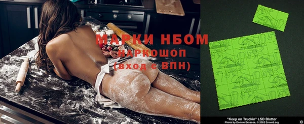 сатива Осташков