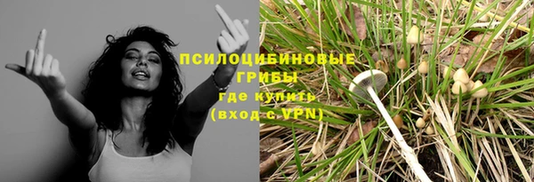 МДПВ Нязепетровск