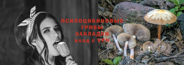 мдпв Нягань