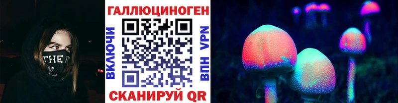 где можно купить   Козьмодемьянск  Галлюциногенные грибы мицелий 