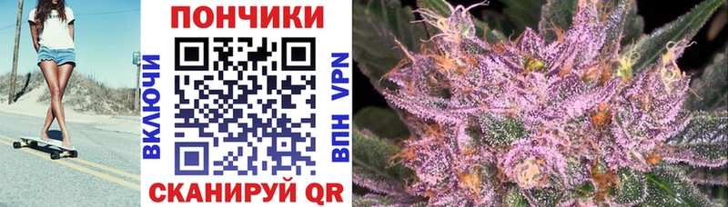 как найти закладки Козьмодемьянск Шишки марихуана OG Kush